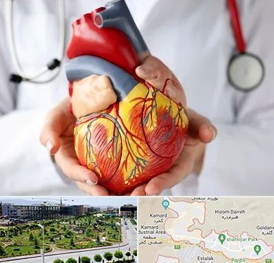 دکتر متخصص قلب و عروق در پردیس