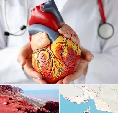 دکتر متخصص قلب و عروق در هرمزگان