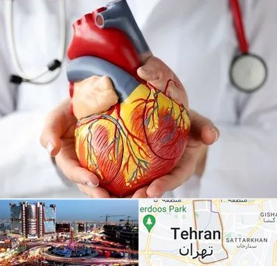 دکتر متخصص قلب و عروق در صادقیه 