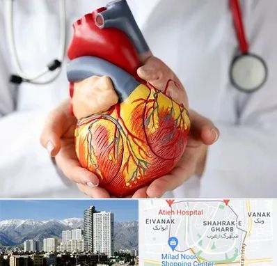 دکتر متخصص قلب و عروق در شهرک غرب 