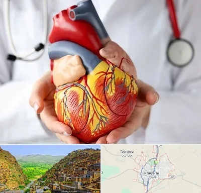 دکتر متخصص قلب و عروق در کامیاران