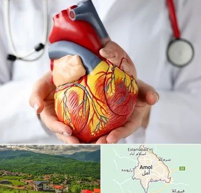 دکتر متخصص قلب و عروق در آمل