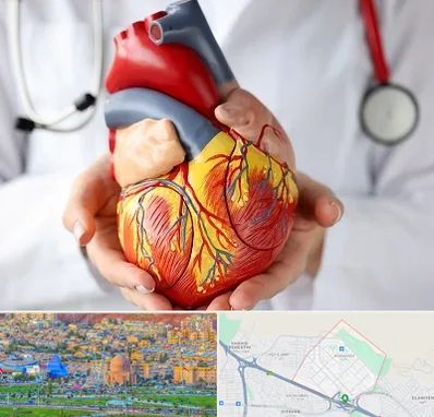 دکتر متخصص قلب و عروق در رشدیه تبریز