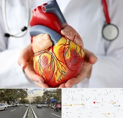 دکتر متخصص قلب و عروق در دولت