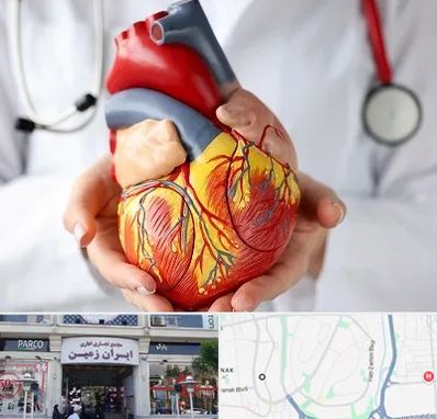 دکتر متخصص قلب و عروق در ایران زمین