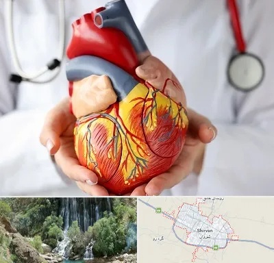دکتر متخصص قلب و عروق در شیروان