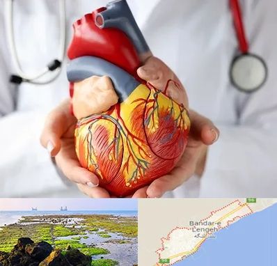 دکتر متخصص قلب و عروق در بندرلنگه