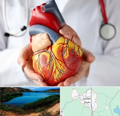 دکتر متخصص قلب و عروق در جویبار