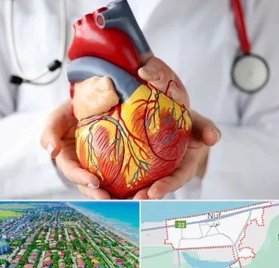 دکتر متخصص قلب و عروق در نور