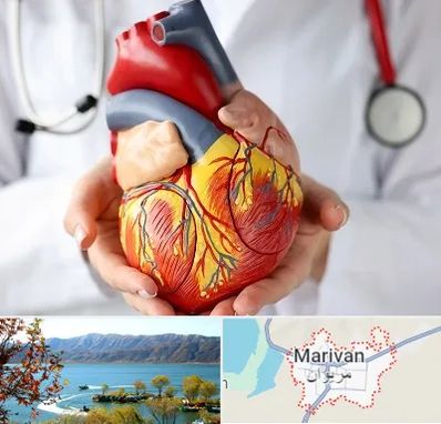 دکتر متخصص قلب و عروق در مریوان