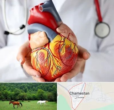 دکتر متخصص قلب و عروق در چمستان