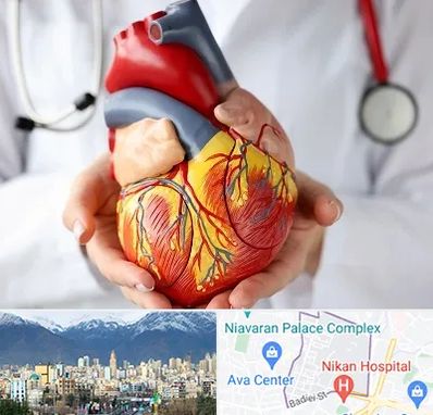 دکتر متخصص قلب و عروق در آجودانیه 