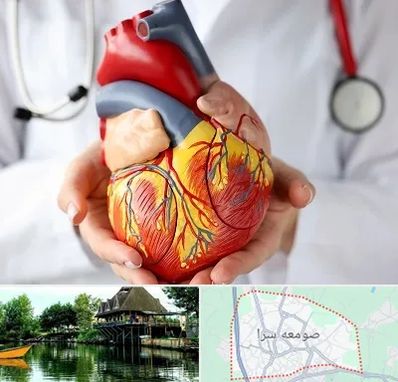 دکتر متخصص قلب و عروق در صومعه سرا