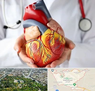 دکتر متخصص قلب و عروق در شهرکرد