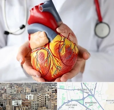 دکتر متخصص قلب و عروق در جنوب شرق تهران
