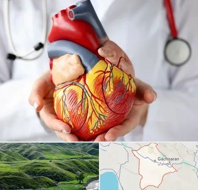 دکتر متخصص قلب و عروق در گچساران
