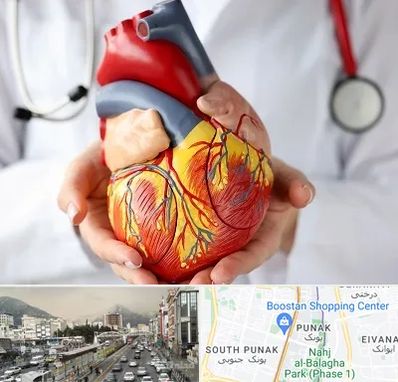 دکتر متخصص قلب و عروق در پونک 