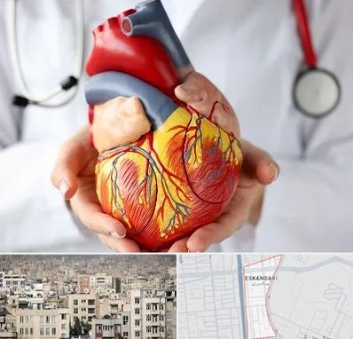 دکتر متخصص قلب و عروق در اسکندری