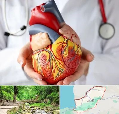 دکتر متخصص قلب و عروق در گلستان