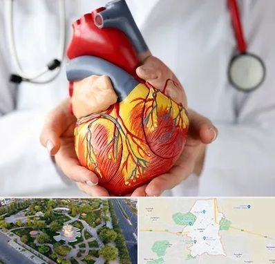 دکتر متخصص قلب و عروق در کاشمر