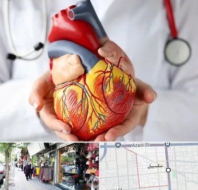 دکتر متخصص قلب و عروق در سلسبیل