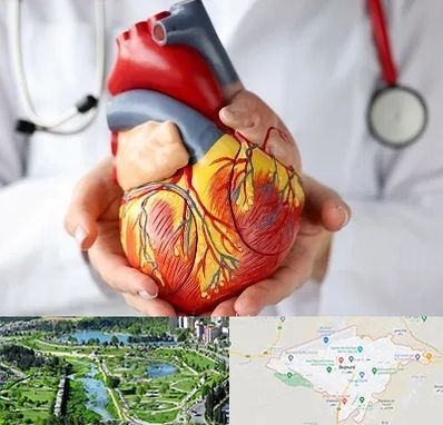 دکتر متخصص قلب و عروق در بجنورد