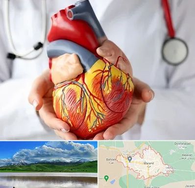 دکتر متخصص قلب و عروق در مرند