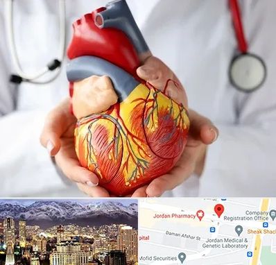 دکتر متخصص قلب و عروق در جردن 