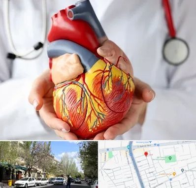 دکتر متخصص قلب و عروق در کوی فیروز تبریز