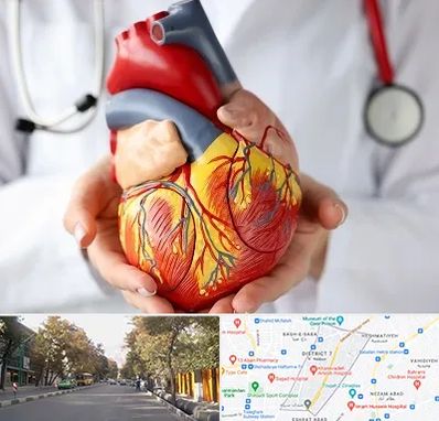 دکتر متخصص قلب و عروق در شریعتی 