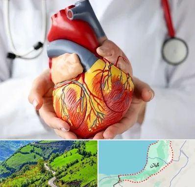 دکتر متخصص قلب و عروق در گیلان