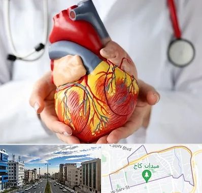 دکتر متخصص قلب و عروق در سعادت آباد 