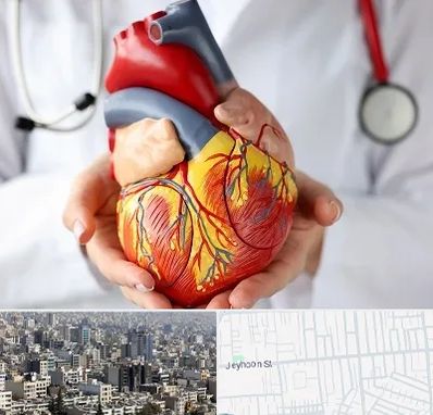 دکتر متخصص قلب و عروق در جیحون