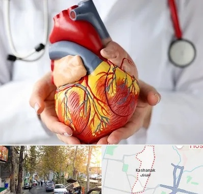 دکتر متخصص قلب و عروق در کاشانک