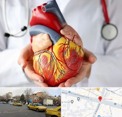 دکتر متخصص قلب و عروق در شهناز تبریز