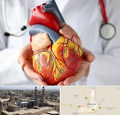دکتر متخصص قلب و عروق در سبزوار