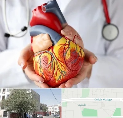 دکتر متخصص قلب و عروق در طرشت