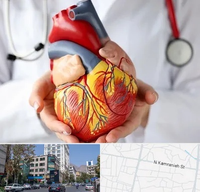 دکتر متخصص قلب و عروق در کامرانیه