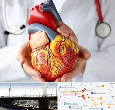 دکتر متخصص قلب و عروق در پارک وی 