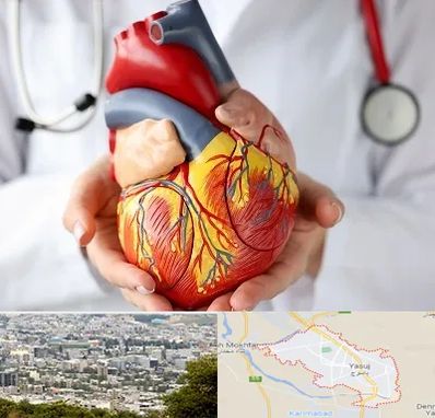 دکتر متخصص قلب و عروق در یاسوج