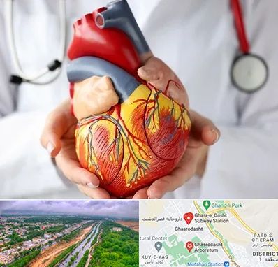 دکتر متخصص قلب و عروق در قصرالدشت شیراز