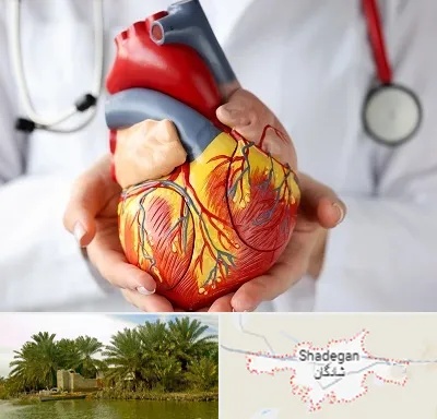 دکتر متخصص قلب و عروق در شادگان