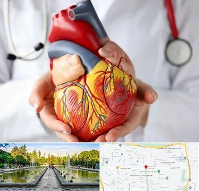 دکتر متخصص قلب و عروق در سرسبز
