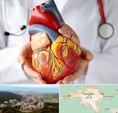 دکتر متخصص قلب و عروق در گرگان