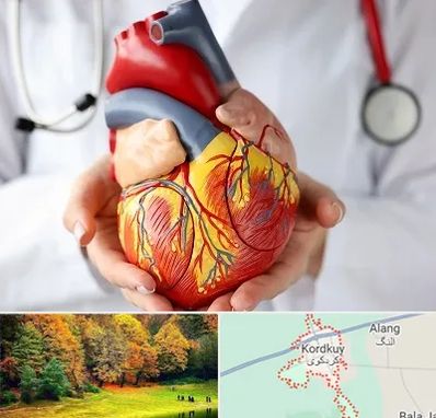 دکتر متخصص قلب و عروق در کردکوی