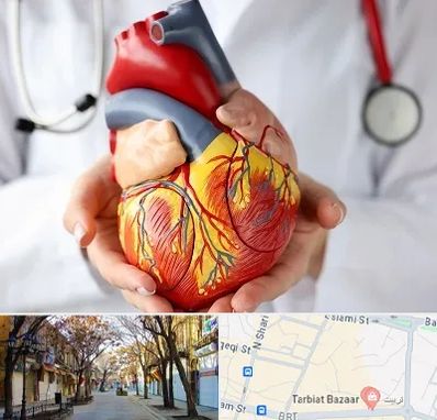 دکتر متخصص قلب و عروق در تربیت تبریز
