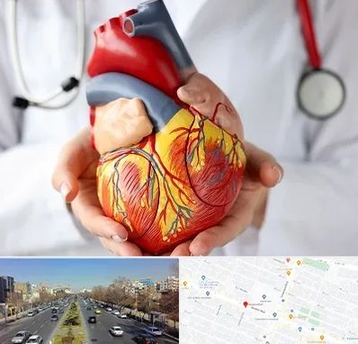 دکتر متخصص قلب و عروق در بلوار معلم مشهد