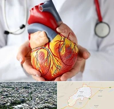 دکتر متخصص قلب و عروق در شاهرود