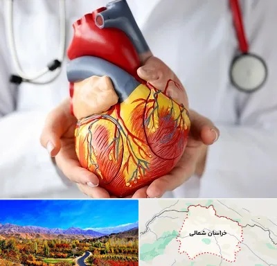 دکتر متخصص قلب و عروق در خراسان شمالی
