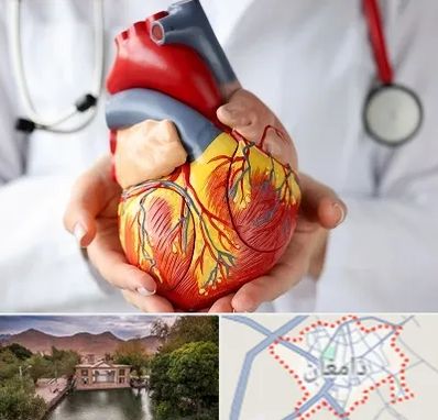 دکتر متخصص قلب و عروق در دامغان